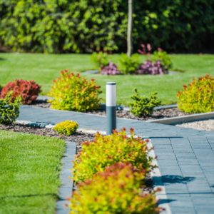 Modern Garden with Brick Path and Outdoor Lighting Close Up. Young Decorative Plants. Landscaping Industry Theme.